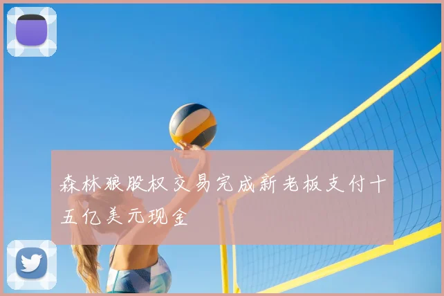 森林狼股权交易完成新老板支付十五亿美元现金