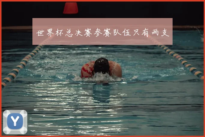 世界杯总决赛参赛队伍只有两支
