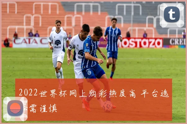 2022世界杯网上购彩热度高 平台选择需谨慎