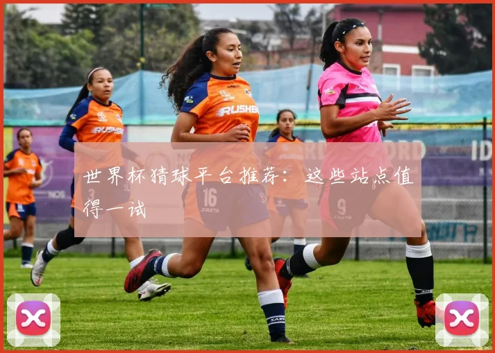 世界杯猜球平台推荐:这些站点值得一试
