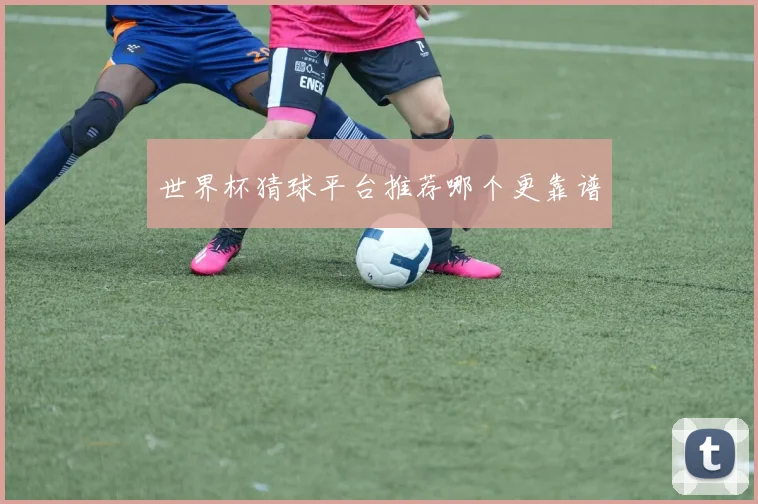 世界杯猜球平台推荐哪个更靠谱
