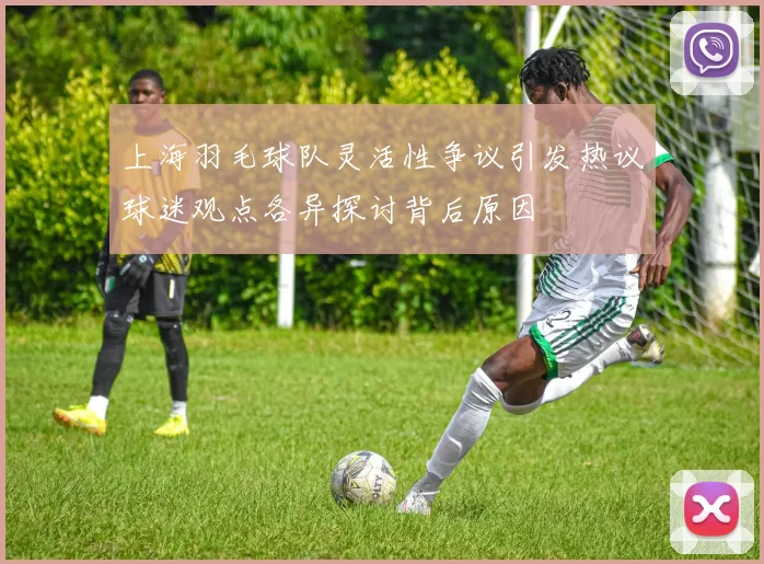 上海羽毛球队灵活性争议引发热议球迷观点各异探讨背后原因