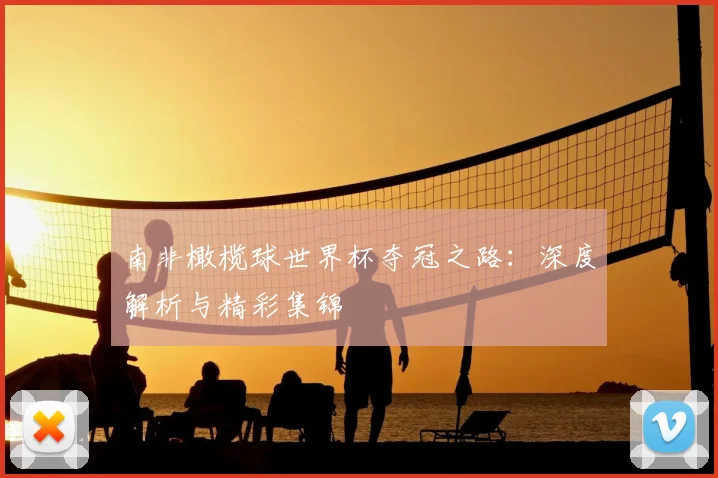 南非橄榄球世界杯夺冠之路：深度解析与精彩集锦