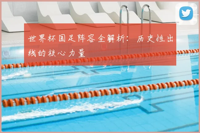 世界杯国足阵容全解析:历史性出线的核心力量