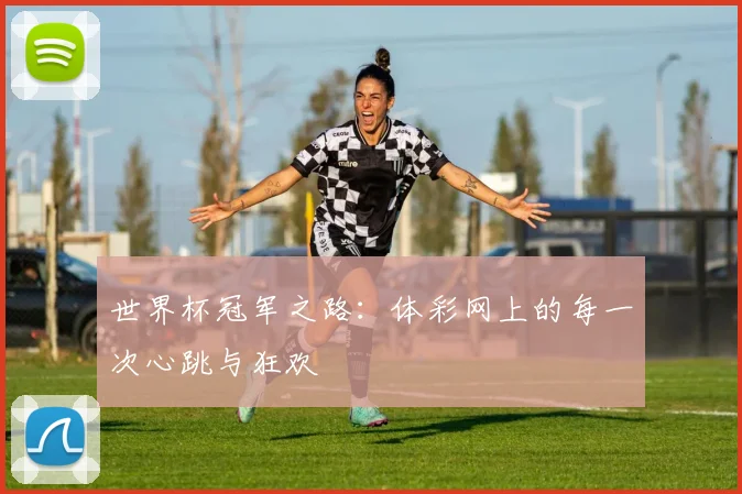 世界杯冠军之路：体彩网上的每一次心跳与狂欢