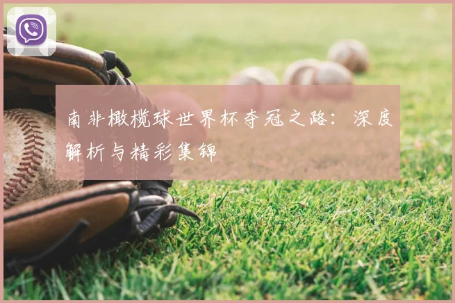 南非橄榄球世界杯夺冠之路：深度解析与精彩集锦