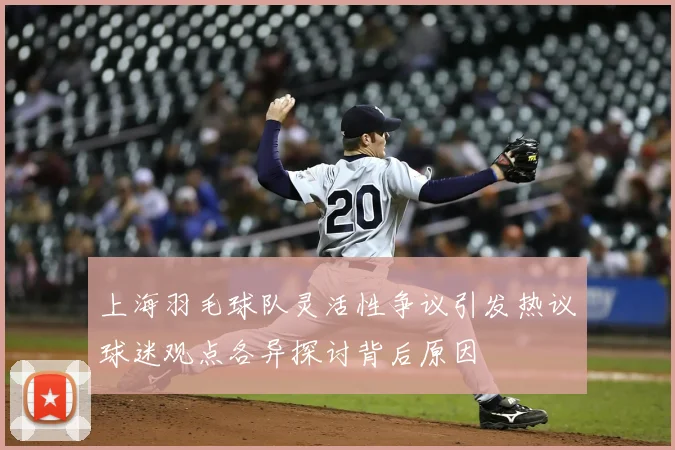 上海羽毛球队灵活性争议引发热议球迷观点各异探讨背后原因